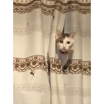 ゆたろ