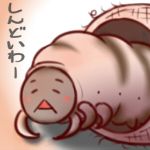 kappa369