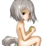 猫と蜘蛛