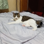 枠内コメ完全禁止米たまちゃん