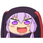ナギネコ