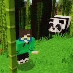 userPhoto