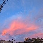 userPhoto