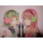 CanE(きゃね)