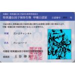 だいぶハード