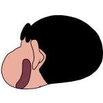 semashi