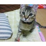 userPhoto