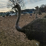 userPhoto