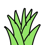 みちくさ