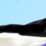 奥尻マガマ