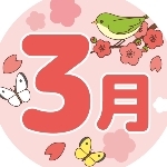 ファイブスターニコモノガタリ
