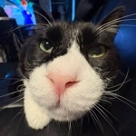 ぴーぽー