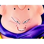 Ray vol