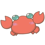 COO