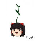 （妹）