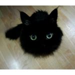くろ