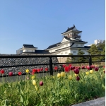 地方民
