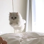00