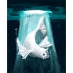 しみ