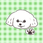 userPhoto