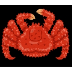 ガチ蟹