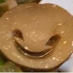 koge koge