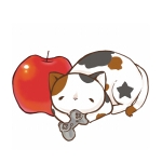 三毛猫