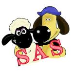 SAS