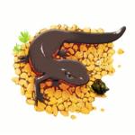 さつきちゃ
