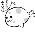 SQL（スコール）