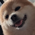 デブリン子