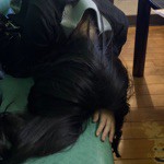 れいかみ