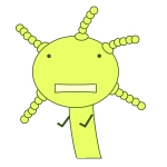 カートン箱