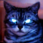 mimimimimi