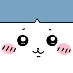 userPhoto