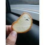 猫まっしぐら