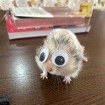 るかちま