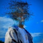 最良鳥あむ