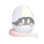テテテ