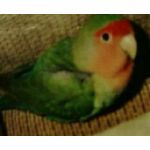 クヅ