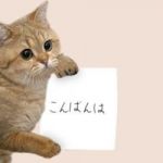 イザーク