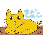 kotora