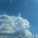 わろ