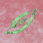 userPhoto