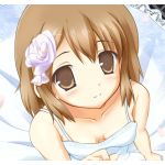 かりんりん