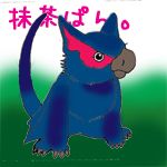 抹茶ぱん。