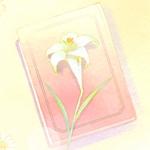 Amitie