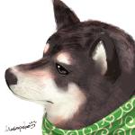 まさぺこ