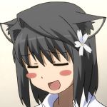 どら猫アルク＠サブ垢