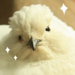 おお